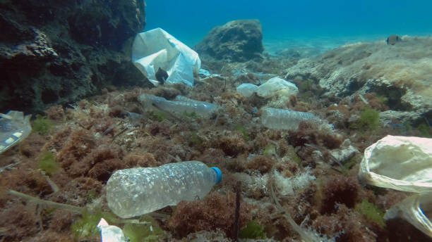 Rifiuti di plastica sul fondo dell'oceano.